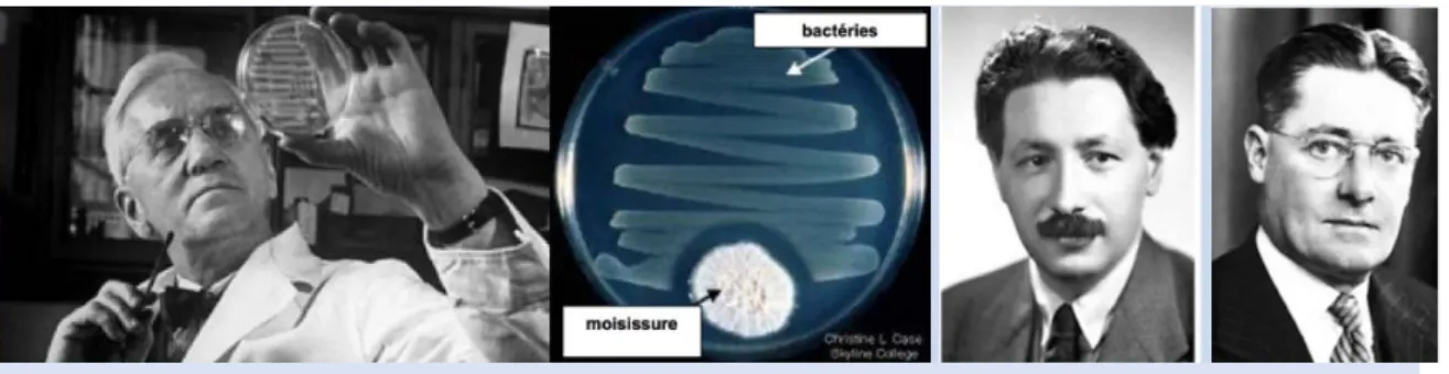 Figure  1.  La  découverte  de  la  pénicilline.  De  gauche  à  droite,  Sir  Alexander  Fleming  et  l’observation  d’une  moisissure  antibactérienne,  Ernst  Boris  Chain  et  Sir  Howard  Walter  Florey