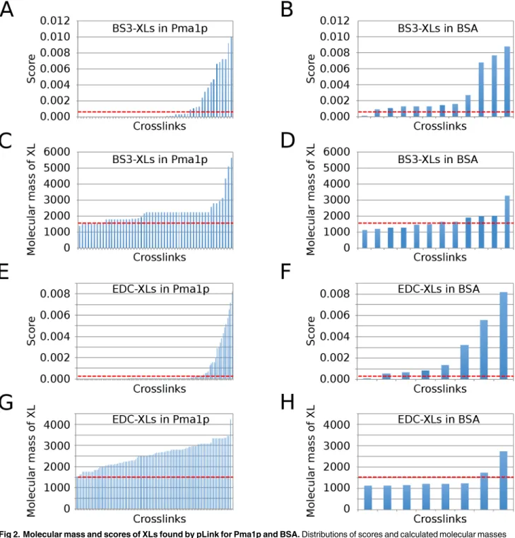 Fig 2. Molecular mass and scores of XLs found by pLink for Pma1p and BSA. Distributions of scores and calculated molecular masses of XLs generated by pLink by scanning through all mgf files from BS3 experiments (A-D) or EDC experiments (E-H) for Pma1p and 