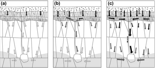 Fig. 9. Conceptual model of ﬂow and 222 Rn transport in karst aquifer during small (a), medium (b) and large (c) ﬂood event
