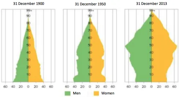 Figure 1 - Population pyramid of Switzerland (1900-2013) 