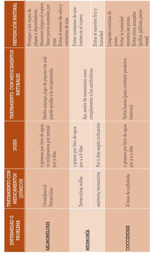 Cuadro N° 3 Tratamiento de enfermedades