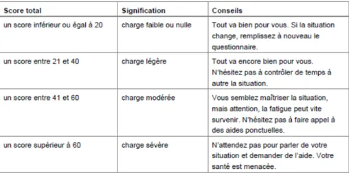 Figure 5. Score total, signification et conseils