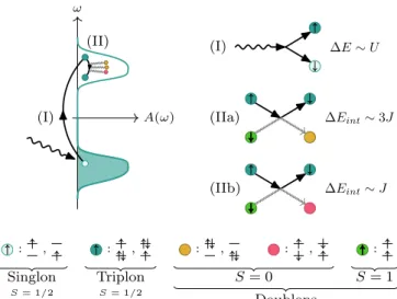 FIG. 1. Schematic illustration of the photodoping process in a two-band Mott insulator, creating photoexcited singlon-triplon pairs (I), and the subsequent relaxation by doublon-triplon (and doublon-singlon) scattering (II), which generates high-energy (II