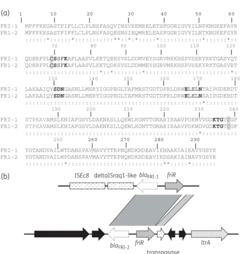 Figure 1. (a) Comparison of the amino acid sequences of FRI-1 and FRI-2. The conserved active-site motifs characteristic of class A b-lactamases