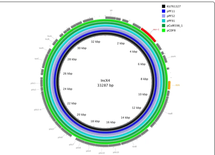 Fig. 2 Sequencing alignment of IncX4-type mcr-1 -harboring plasmids. The mcr-1 harboring plasmid, pmcr-1_X4 (Accession-Nr