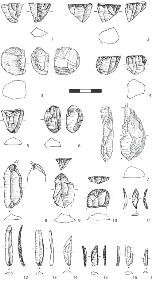 Figure 7. Selected artifacts from AH III, including unidirectional (1e5) and bidirectional cores (6), burins (7, 8), end scrapers (9, 10), backed point (11), backed bladelets (12, 15, 16), and laterally retouched bladelets (13, 14, 17)