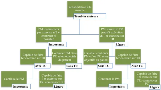 Figure  7:  Directives  de  l'utilisation  du  programme.  PC:  programme  cognitif,  PM: 