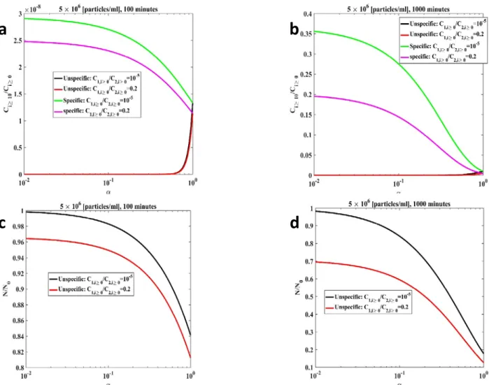 Figure S3:  Mathematical modelling results for magnetic beads with a size of 300 nm. Unspecific  binding was included through the parameter 
