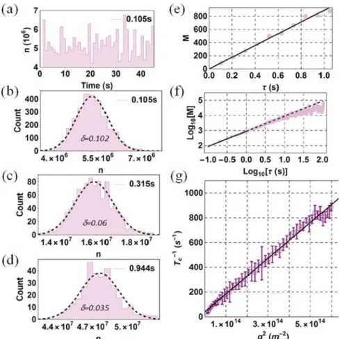 Figure 2f shows M as a function τ computed over 3 orders of magnitude. We found that the linear relationship was valid over a wide range, and the agreement between theoretical prediction and experimental evidence was preserved up to τ ≈ 20 s (Log 10 [ τ (s