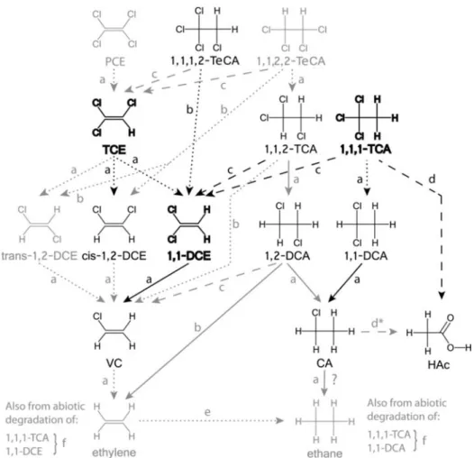 Fig. 1. Degradation pathways of chlorinated ethanes and ethenes. Aerobic biodegradation pathways are not shown