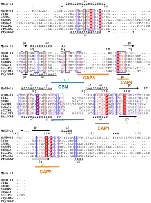 Figure 4.  SCP/TAPS protein motifs. Structural features of MpPR-1i and primary sequence alignment with  SCP/TAPS proteins that are most structurally similar