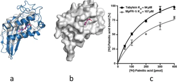 Figure 5.  MpPR-1i has a large lipid binding site like tablysin-15. (a) Superpositioning of MpPR-1i (gray) with  tablysin-15 (blue) reveals similar sized palmitate (magenta) binding cavity