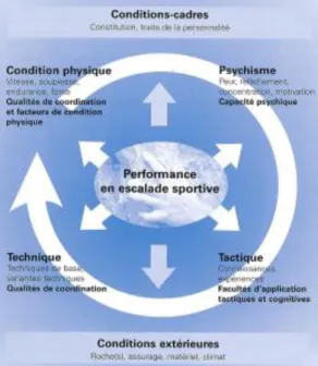 Figure  7.  La  contribution  des  caractéristiques  expliquant  la  performance  des  grimpeurs  (Magiera et al., 2013) 