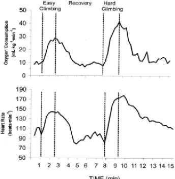 Figure 14. Cascade d'oxygène dans l'organisme. Adapté  de (Plowman &amp; Smith, 2013)