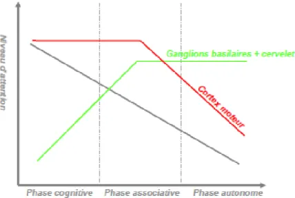 Figure 7. Graphique du niveau attentionnel et des parties du cerveau utilisées en fonction des trois phases (Fitts 