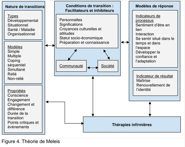 Figure 4. Théorie de Meleis 
