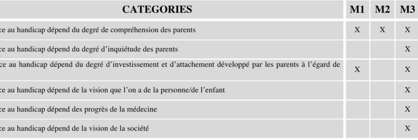 Tableau 8 : Compte-rendu des catégories relatives au thème des représentations du handicap 