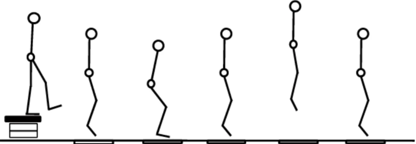 Abbildung  2.  Schematische  Darstellung  des  Bewegungsablaufes  bei  einem  Drop  Jump