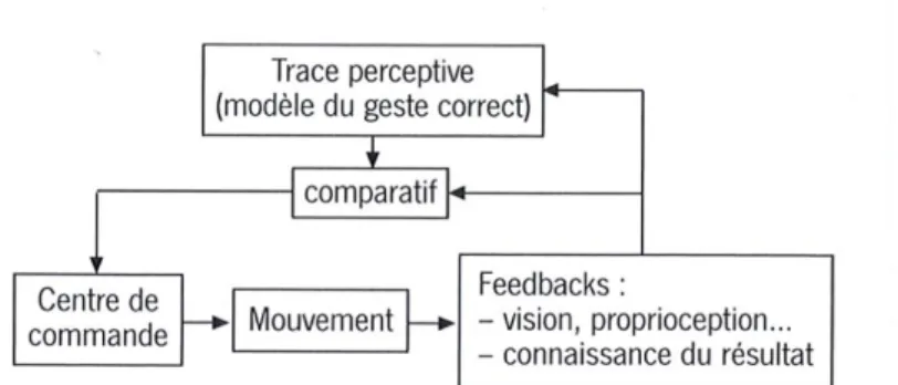 Figure 3.  Schéma illustrant la théorie de l’apprentissage (Adams,1971, p.200) 