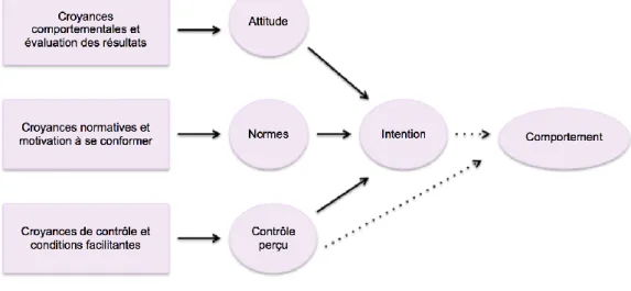 Figure 6. Schéma de la TCP  (adapté par Ajzen, 1991) 