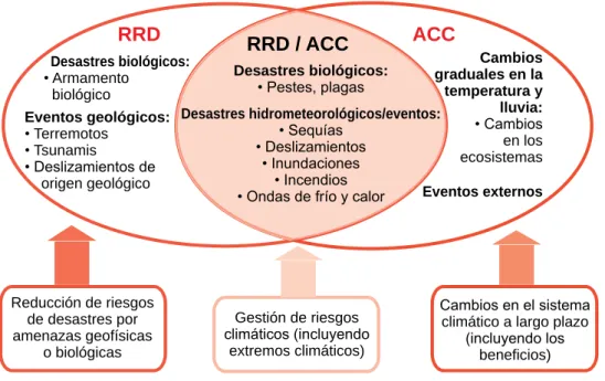 Gráfico 3: Espacios de acción de y entre la RRD y ACC