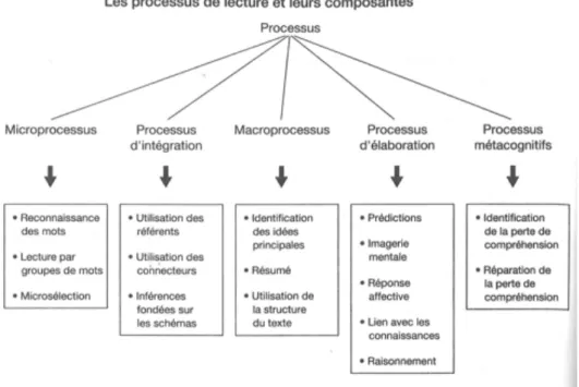 Figure 1 : Les processus de lecture et leurs composantes (Giasson, 2007, p.16) 