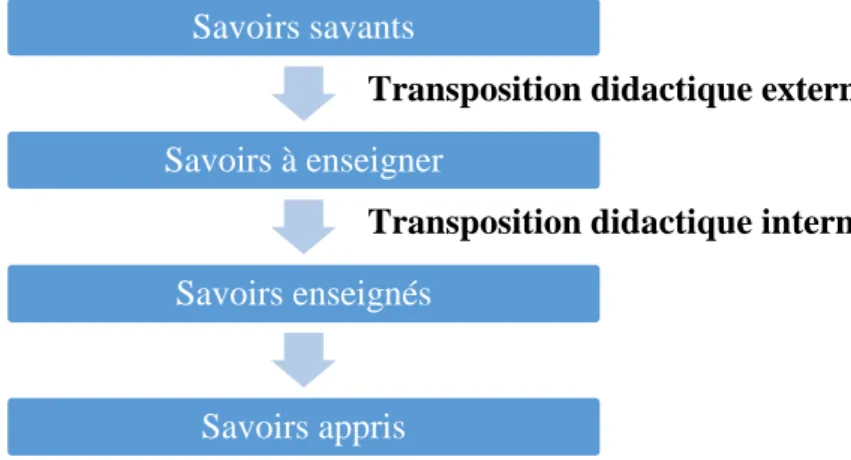 Figure 5 : Etapes de la transposition didactique 