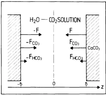 Figure 2.8: Geometrical model of calcite dissolution in a system closed to the atmosphere (Buhmann and Dreybrodt, 1985)