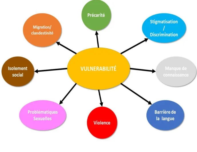 Figure 1 : Les dimensions de la vulnérabilité chez les TdS en contexte migratoire.  