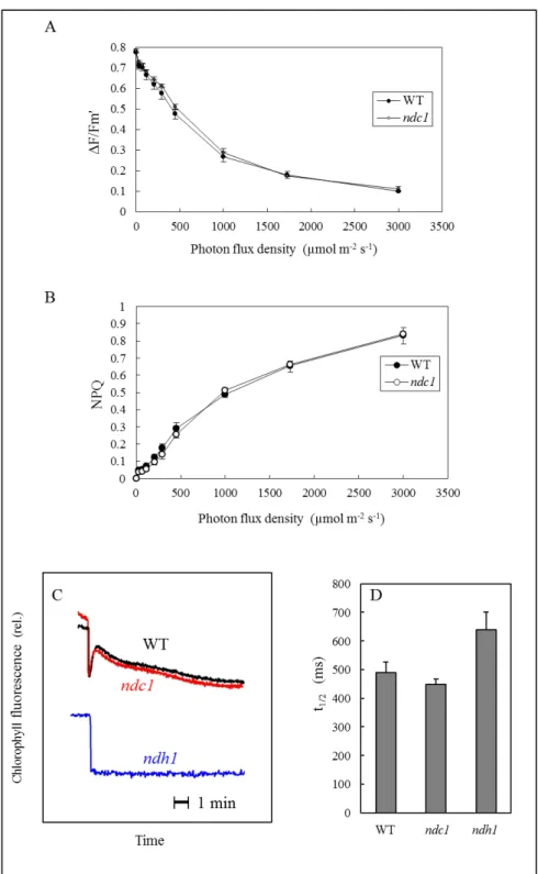 Fig. S4. Photosynthetic properties of WT and  ndc1 mutant leaves of Arabidopsis.  A)  Quantum  yield of PSII photochemistry measured at different PFDs using the chlorophyll fluorescence parameter  ǻ))P¶ % 1RQ-photochemical  energy  quenching  measured  at 