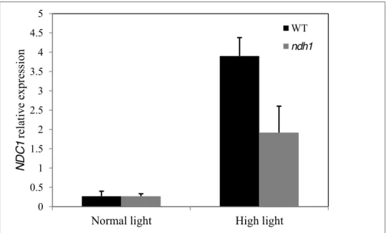 Fig. S5. Analyses of  NDC1 expression in normal and high light conditions.  After  extraction  of  RNA  from  WT  and  ndh1  mutant  plants,  transcript  levels  were  quantified  by  real-time  reverse  transcription (RT)-PCR with ACTIN2 as the reference