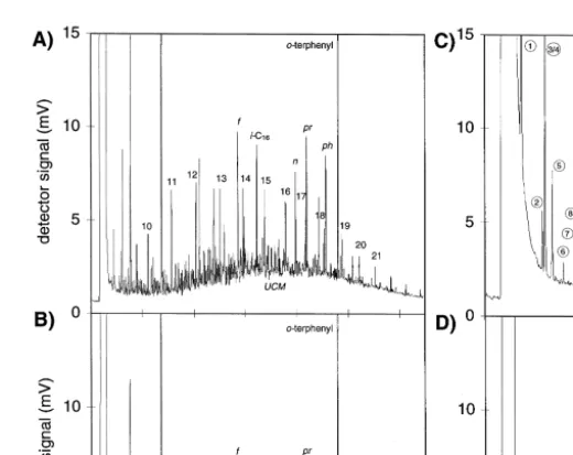 Fig. 3. GC analysis of hydrocarbons in the aquifer material at the start of the experiment A and in the aquifer material of slice 2–8 cm after 65 days of column operation B 