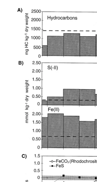 Fig. 2. A Hydrocarbon concentration in the aquifer material before broken line and after 65 days of column