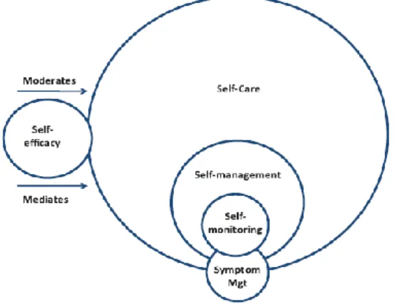 Figure 1: Schéma des concepts
