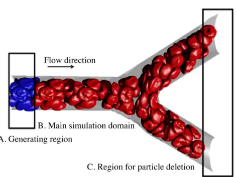 Figure 4.1. Simulation of blood flow in a microvascular bifurcation using the proposed open boundary conditions
