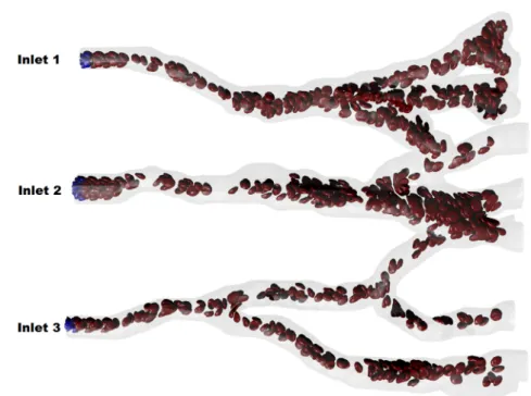 Figure 4.7. Snapshot for simulation of the blood flow in part of arterial network with three inlets and multiple outlets