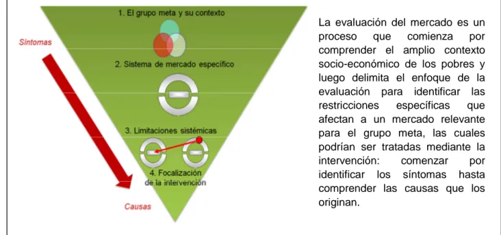 Figura 5: Proceso diagnóstico en M4P