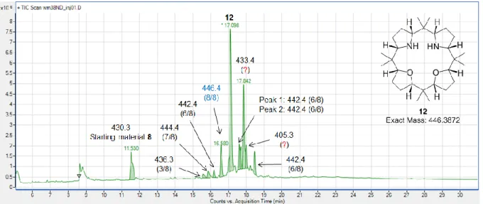 Figure 29. Half macrocycle models 24 and 25 