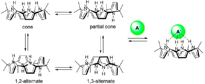 Figure 34. Scheme of the four conformational isomers of calix[4]pyrrole 1 and the change of  conformation in presence of anion sources as described by Sessler