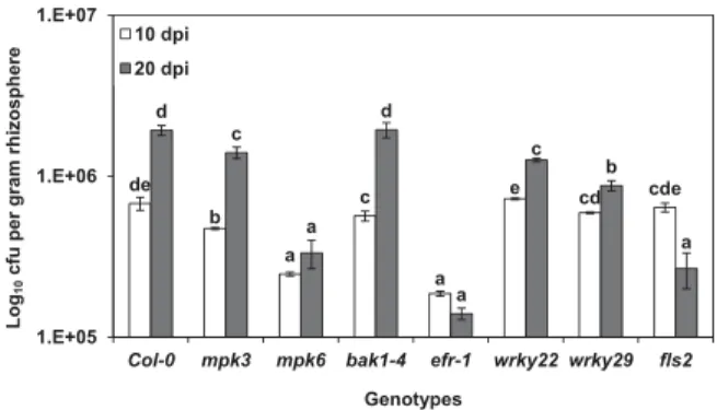 Fig. 4. Titer of Paenibacillus alvei K165 in the rhizosphere of Arabidopsis thaliana Col-0 plants and mpk3, mpk6, bak1-4, efr-1, wrky22, wrky29, and fls2 mutants, at 10 and 20 days postinoculation (dpi)