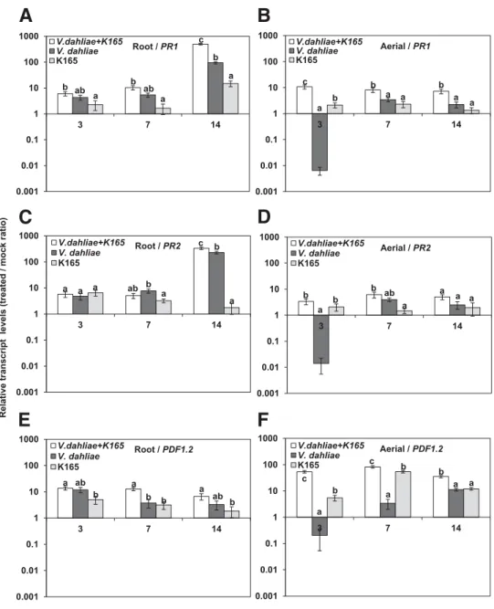 Fig. 5. A and B, Relative transcript levels of PR1, C and D, PR2, and E and F, PDF1.2 in the root (A, C, E) and aerial tissues (B, D, F) of Arabidopsis Col-0 plants in response to infection with Verticillium dahliae or treatment with Paenibacillus alvei K1