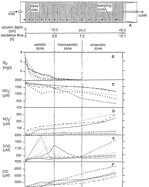 Fig.  1.  Schematic  of  column  set-up  and  sampling  ports  (A).  Solid circles  indicate  sampling  ports  used  for  chemical  measurements