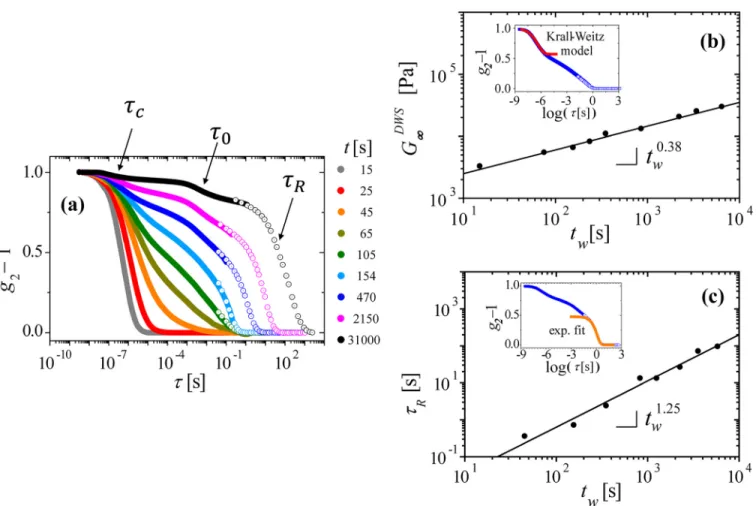 FIG. 1. Evolution of dynamical properties of thermosensitive PS-PNiPAM system in response to a temperature quench from T ¼ 15  C to T¼ 27  C