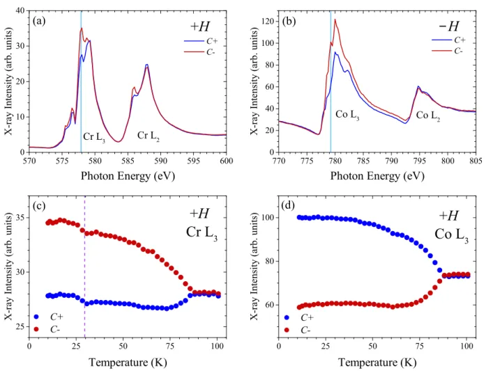FIG. 5. Reflectivity data taken from CCO using circular light after field cooling. (a) and (b) Reflectivity signals as functions of incoming photon energy around the Co and Cr L edges, respectively