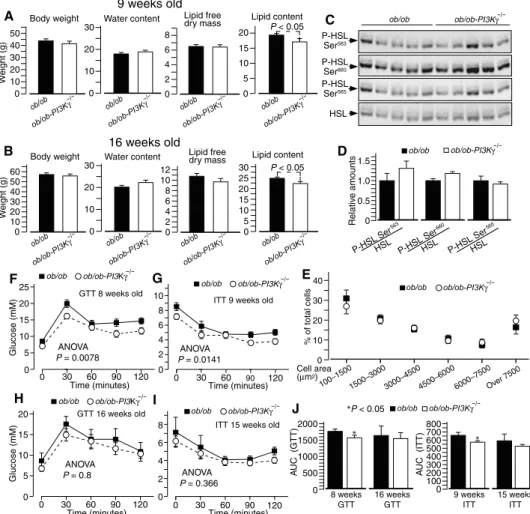Fig. 1. PI3Kg ablation in ob/ob mice leads to a partial and largely transient protection from insulin resistance independently from adiposity