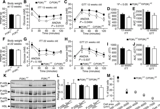 Fig. 3. PI3Kg ablation in hematopoietic and endothelial cells partially protects from insulin resistance in- in-dependently from differences in adiposity
