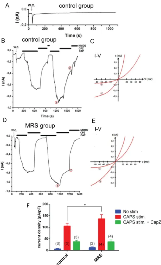 Fig 2. Effects of MRS treatment on TRPV1 channel activity in MCF7 cells. The holding potential was set at -60 mV; W.C