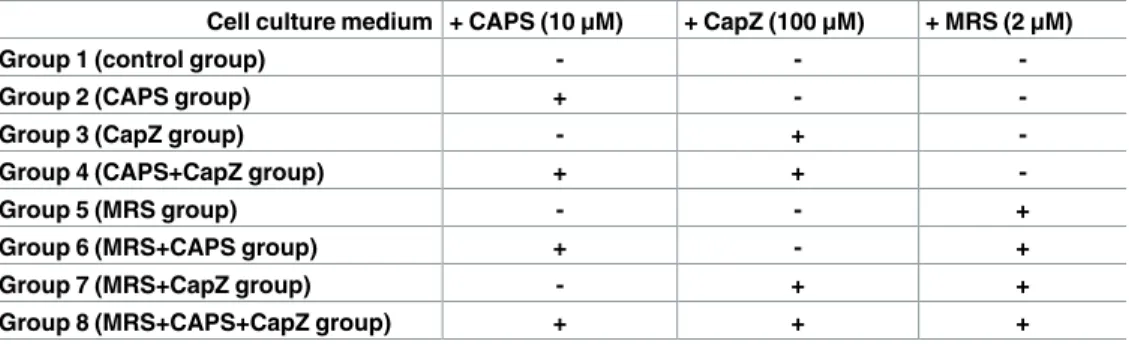 Table 1. Treatment groups.