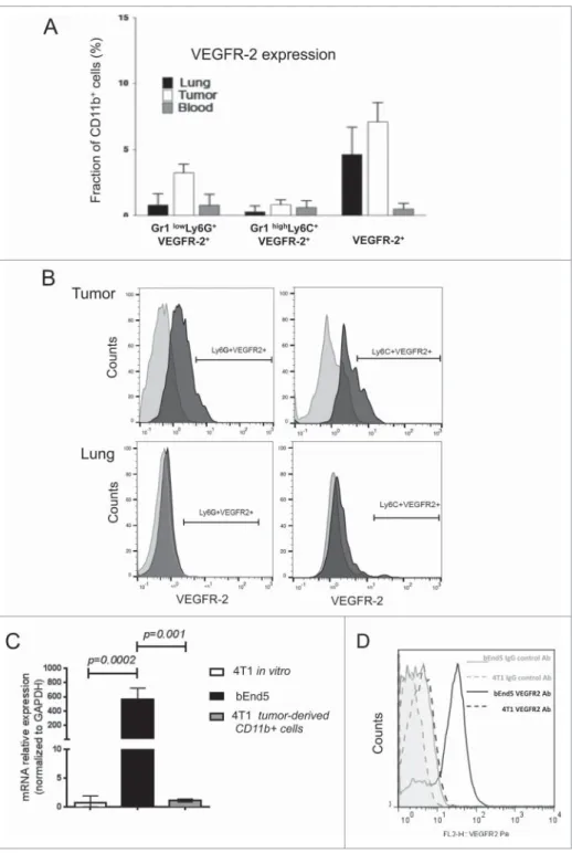 Figure 9. VEGFR-2 expression is very low to absent in CD11b C and 4T1 cells. (A) VEGFR-2 expression on CD11b C cells, CD11b C Gr1 Low Ly6C C cells and CD11b C Gr1 High Ly6G C cells isolated from blood, tumor and lungs, was monitored by cell surface stainin