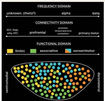 Figure 2 Hypothetical conclusion of a potential distribu- distribu-tion of STN funcdistribu-tion, recorded frequency at rest and connectivity